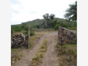Terreno en venta en San Cristobal (El Colorado), El Marqués, Querétaro Terreno en venta en San Cristobal (El Colorado), El Marqués, Querétaro