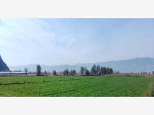 Terreno en venta en León Guzmán, Lerdo, Durango Terreno en venta en León Guzmán, Lerdo, Durango