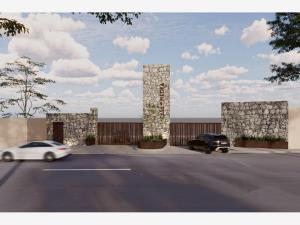 Terreno en venta en San Alberto, Saltillo, Coahuila de Zaragoza Terreno en venta en San Alberto, Saltillo, Coahuila de Zaragoza