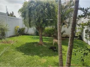 Casa en venta en Lomas de Tzompantle, Cuernavaca, Morelos Casa en venta en Lomas de Tzompantle, Cuernavaca, Morelos