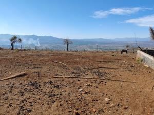 Terreno en venta en Los Llanos, Morelia, Michoacán de Ocampo Terreno en venta en Los Llanos, Morelia, Michoacán de Ocampo
