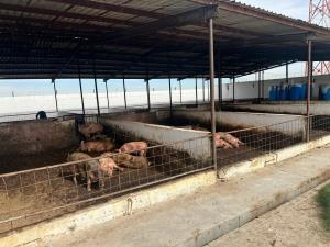 Terreno en venta en Puente de la Torreña (El Capricho), Lerdo, Durango Terreno en venta en Puente de la Torreña (El Capricho), Lerdo, Durango