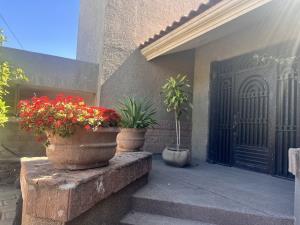 Casa en renta en San Isidro, Torreón, Coahuila de Zaragoza Casa en renta en San Isidro, Torreón, Coahuila de Zaragoza