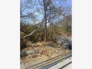 Terreno en venta en Las Fincas, Jiutepec, Morelos Terreno en venta en Las Fincas, Jiutepec, Morelos