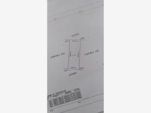 Terreno en venta en San Antonio de las Alazanas, Arteaga, Coahuila de Zaragoza Terreno en venta en San Antonio de las Alazanas, Arteaga, Coahuila de Zaragoza