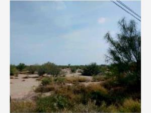 Terreno en venta en La Paz, Torreón, Coahuila de Zaragoza Terreno en venta en La Paz, Torreón, Coahuila de Zaragoza