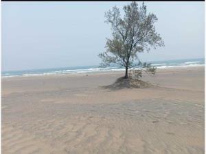 Terreno en venta en Paso de Doña Juana, Úrsulo Galván, Veracruz de Ignacio de la Llave Terreno en venta en Paso de Doña Juana, Úrsulo Galván, Veracruz de Ignacio de la Llave