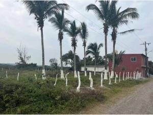 Terreno en venta en El Zapote, Alvarado, Veracruz de Ignacio de la Llave Terreno en venta en El Zapote, Alvarado, Veracruz de Ignacio de la Llave