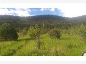 Terreno en venta en Jame, Arteaga, Coahuila de Zaragoza Terreno en venta en Jame, Arteaga, Coahuila de Zaragoza