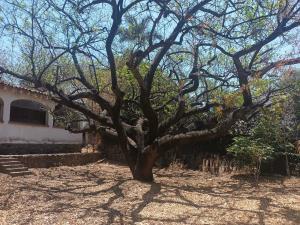 Terreno en venta en La Pradera, Cuernavaca, Morelos Terreno en venta en La Pradera, Cuernavaca, Morelos