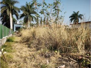 Terreno en venta en Lomas de Cocoyoc, Atlatlahucan, Morelos Terreno en venta en Lomas de Cocoyoc, Atlatlahucan, Morelos