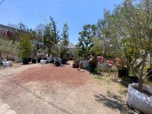 Terreno en venta en Granjas Banthi, San Juan del Río, Querétaro Terreno en venta en Granjas Banthi, San Juan del Río, Querétaro