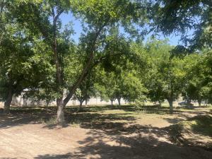 Terreno en venta en Las Trojes, Torreón, Coahuila de Zaragoza Terreno en venta en Las Trojes, Torreón, Coahuila de Zaragoza