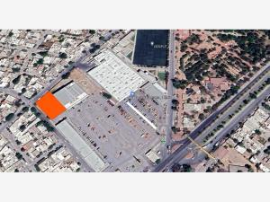 Terreno en renta en Constituyentes, Lerdo, Durango Terreno en renta en Constituyentes, Lerdo, Durango