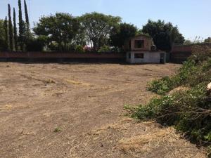 Terreno en venta en Oacalco, Yautepec, Morelos Terreno en venta en Oacalco, Yautepec, Morelos