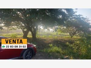 Terreno en venta en Tejeria, Veracruz, Veracruz de Ignacio de la Llave Terreno en venta en Tejeria, Veracruz, Veracruz de Ignacio de la Llave
