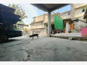 Terreno en venta en Ampliación Fuentes del Pedregal, Tlalpan, Ciudad de México Terreno en venta en Ampliación Fuentes del Pedregal, Tlalpan, Ciudad de México