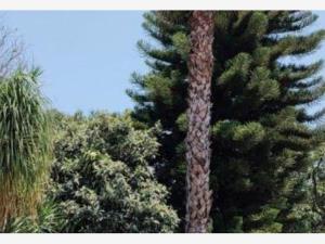 Casa en renta en Lomas de Cortes, Cuernavaca, Morelos Casa en renta en Lomas de Cortes, Cuernavaca, Morelos