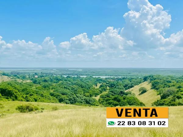 Terreno en venta en Los Médanos de Buena Vista, Alvarado, Veracruz de Ignacio de la Llave Terreno en venta en Los Médanos de Buena Vista, Alvarado, Veracruz de Ignacio de la Llave