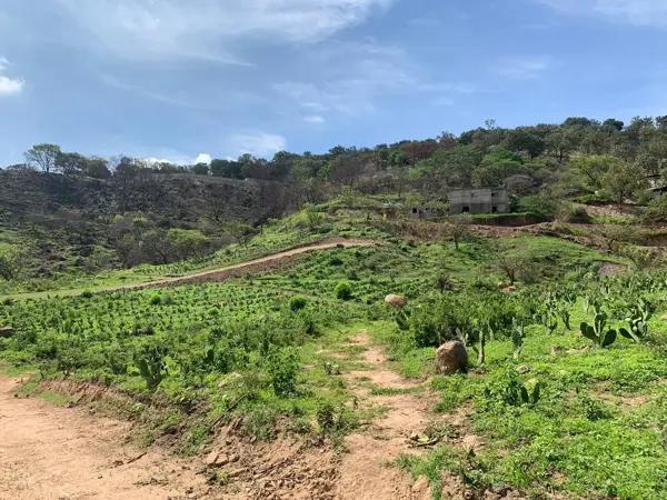 Terreno en venta en San Esteban, Zapopan, Jalisco Terreno en venta en San Esteban, Zapopan, Jalisco