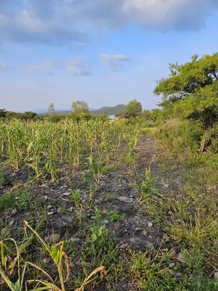 Terreno en venta en Ojo de Agua, San Juan del Río, Querétaro Terreno en venta en Ojo de Agua, San Juan del Río, Querétaro