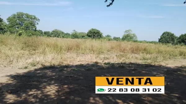 Terreno en venta en La Candelaria, Medellín de Bravo, Veracruz de Ignacio de la Llave Terreno en venta en La Candelaria, Medellín de Bravo, Veracruz de Ignacio de la Llave