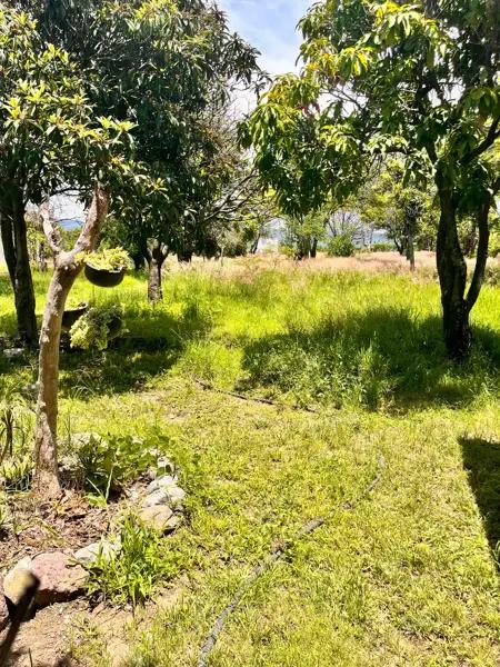 Terreno en venta en Solares de Tenextepec, Atlixco, Puebla Terreno en venta en Solares de Tenextepec, Atlixco, Puebla