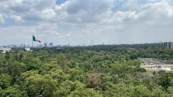 Departamento en venta y renta en Polanco I Sección, Miguel Hidalgo, Ciudad de México Departamento en venta y renta en Polanco I Sección, Miguel Hidalgo, Ciudad de México