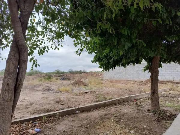 Terreno en venta en Ejido Ana, Torreón, Coahuila de Zaragoza Terreno en venta en Ejido Ana, Torreón, Coahuila de Zaragoza