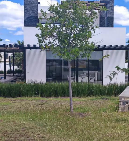 Casa en renta en Zákia, El Marqués, Querétaro Casa en renta en Zákia, El Marqués, Querétaro