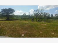 Finca-Rancho en venta en Leona Vicario, Puerto Morelos, Quintana Roo Finca-Rancho en venta en Leona Vicario, Puerto Morelos, Quintana Roo