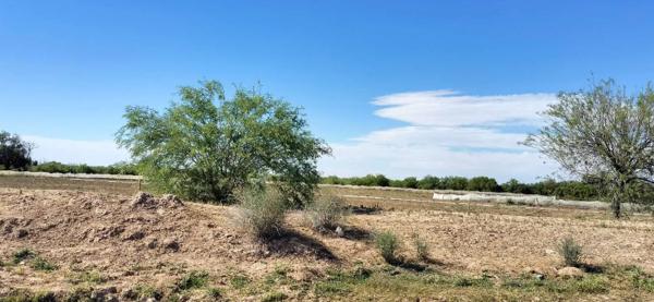 Terreno en venta en El Sacrificio, Matamoros, Coahuila de Zaragoza Terreno en venta en El Sacrificio, Matamoros, Coahuila de Zaragoza