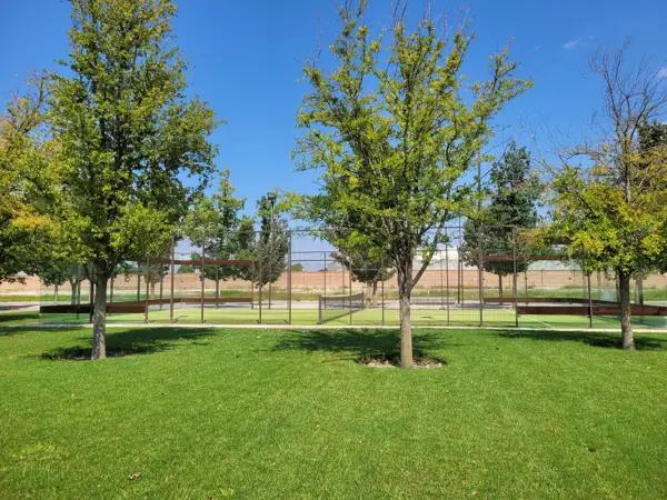 Terreno en venta en Punta Bosque, Saltillo, Coahuila de Zaragoza Terreno en venta en Punta Bosque, Saltillo, Coahuila de Zaragoza