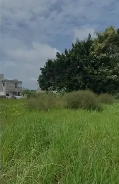 Terreno en venta en Acapatzingo, Cuernavaca, Morelos Terreno en venta en Acapatzingo, Cuernavaca, Morelos