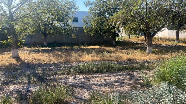 Terreno en venta en Las Trojes, Torreón, Coahuila de Zaragoza Terreno en venta en Las Trojes, Torreón, Coahuila de Zaragoza
