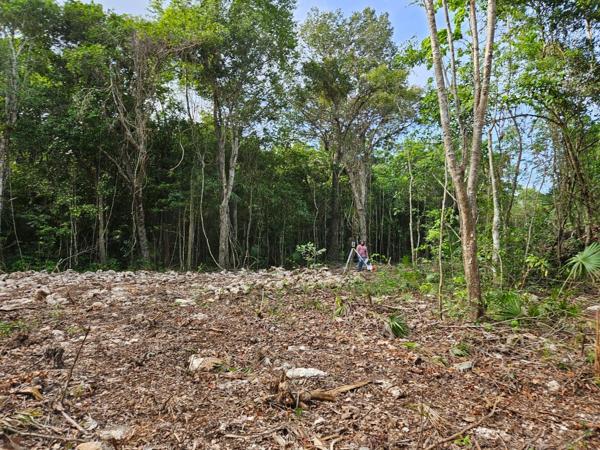 Terreno en venta en Porto Alto, Solidaridad, Quintana Roo Terreno en venta en Porto Alto, Solidaridad, Quintana Roo