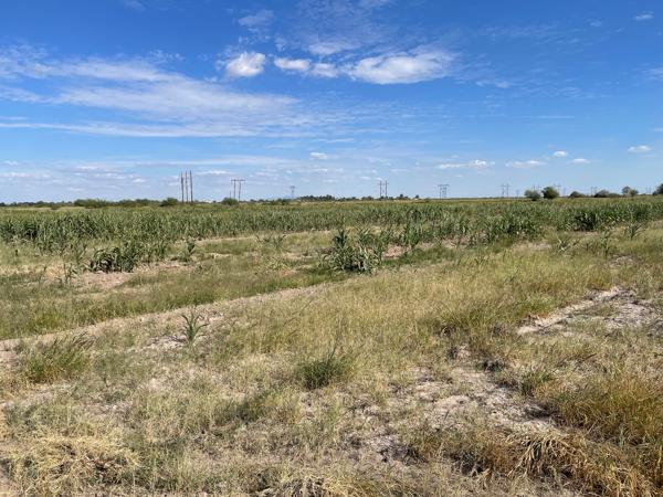 Terreno en venta en Santa Clara, Gómez Palacio, Durango Terreno en venta en Santa Clara, Gómez Palacio, Durango