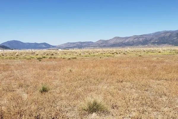 Terreno en venta en San Ignacio de Abajo, Arteaga, Coahuila de Zaragoza Terreno en venta en San Ignacio de Abajo, Arteaga, Coahuila de Zaragoza