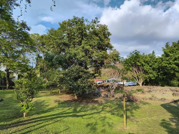 Finca-Rancho en venta en Nepantla de Sor Juana Inés de la Cruz, Tepetlixpa, México Finca-Rancho en venta en Nepantla de Sor Juana Inés de la Cruz, Tepetlixpa, México