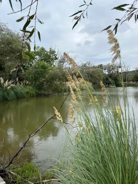 Terreno en venta en El Encino, Huimilpan, Querétaro Terreno en venta en El Encino, Huimilpan, Querétaro