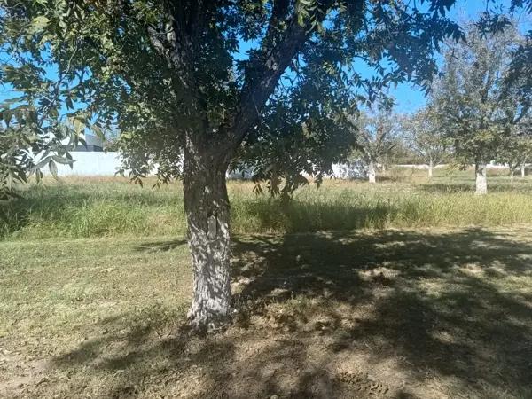 Terreno en venta en San Armando, Torreón, Coahuila de Zaragoza Terreno en venta en San Armando, Torreón, Coahuila de Zaragoza