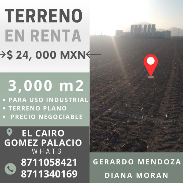 Terreno en renta en San Antonio, Gómez Palacio, Durango Terreno en renta en San Antonio, Gómez Palacio, Durango