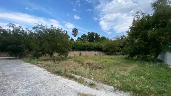 Terreno en venta en San Alberto, Saltillo, Coahuila de Zaragoza Terreno en venta en San Alberto, Saltillo, Coahuila de Zaragoza