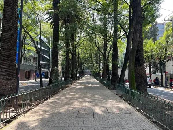 Departamento en venta en Condesa, Cuauhtémoc, Ciudad de México Departamento en venta en Condesa, Cuauhtémoc, Ciudad de México