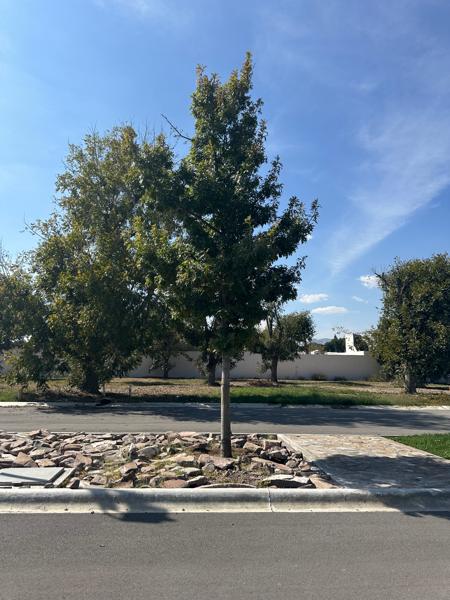 Terreno en venta en Peña Alta, Saltillo, Coahuila de Zaragoza Terreno en venta en Peña Alta, Saltillo, Coahuila de Zaragoza