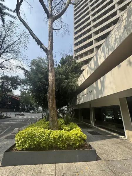 Oficina en renta en Polanco V Sección, Miguel Hidalgo, Ciudad de México Oficina en renta en Polanco V Sección, Miguel Hidalgo, Ciudad de México
