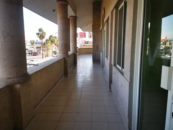 Oficina en renta en Residencial Campestre la Rosita, Torreón, Coahuila de Zaragoza Oficina en renta en Residencial Campestre la Rosita, Torreón, Coahuila de Zaragoza
