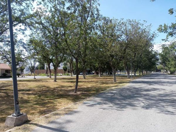 Terreno en venta en Las Trojes, Torreón, Coahuila de Zaragoza Terreno en venta en Las Trojes, Torreón, Coahuila de Zaragoza