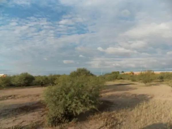 Terreno en venta en Hormiguero, Matamoros, Coahuila de Zaragoza Terreno en venta en Hormiguero, Matamoros, Coahuila de Zaragoza