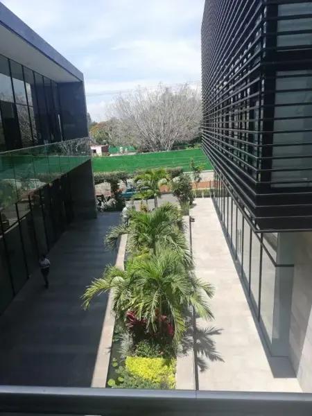 Local en renta en Chapultepec, Cuernavaca, Morelos Local en renta en Chapultepec, Cuernavaca, Morelos